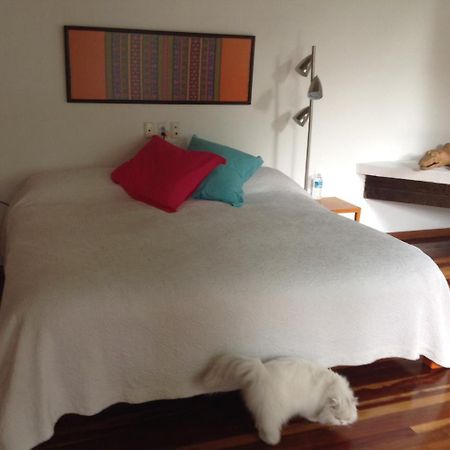 La Casa De Las Magnolias Hotell Coyoacan Eksteriør bilde
