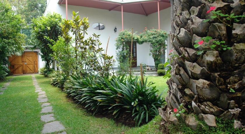 La Casa De Las Magnolias Hotell Coyoacan Eksteriør bilde