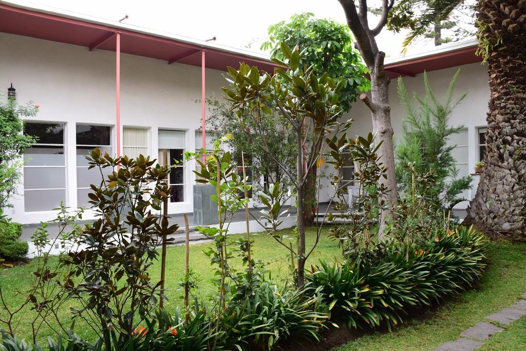 La Casa De Las Magnolias Hotell Coyoacan Eksteriør bilde