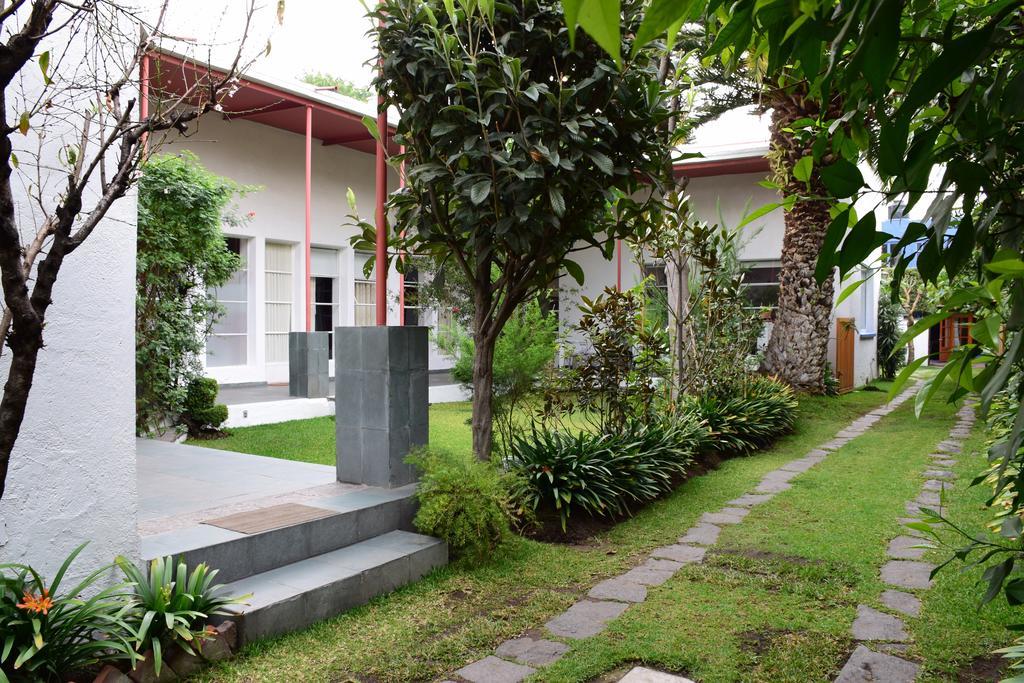 La Casa De Las Magnolias Hotell Coyoacan Eksteriør bilde