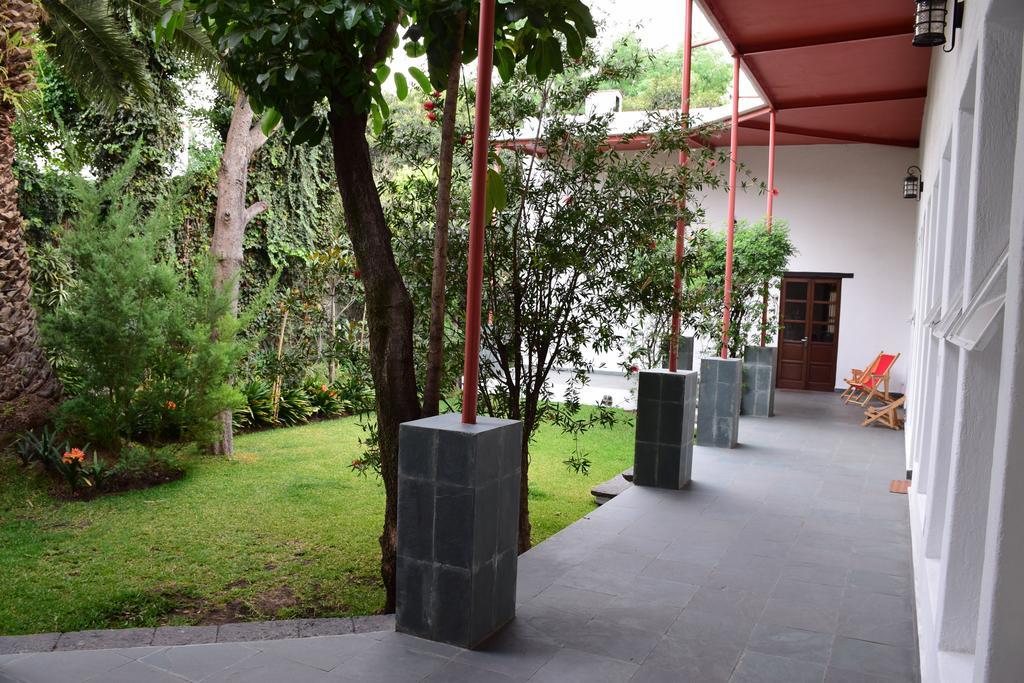 La Casa De Las Magnolias Hotell Coyoacan Eksteriør bilde
