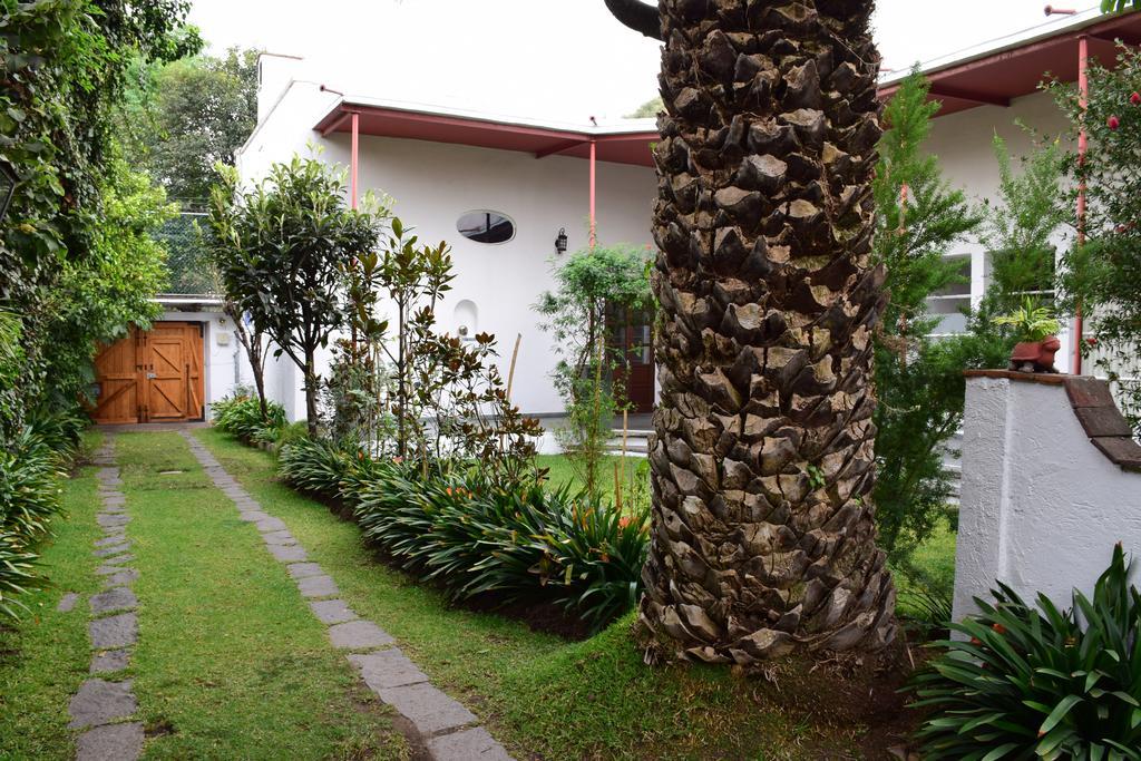 La Casa De Las Magnolias Hotell Coyoacan Eksteriør bilde