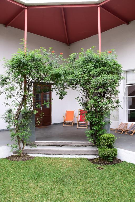 La Casa De Las Magnolias Hotell Coyoacan Eksteriør bilde