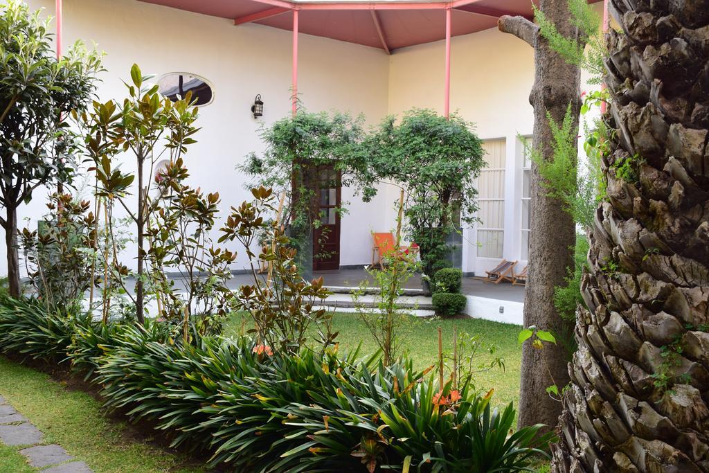 La Casa De Las Magnolias Hotell Coyoacan Eksteriør bilde