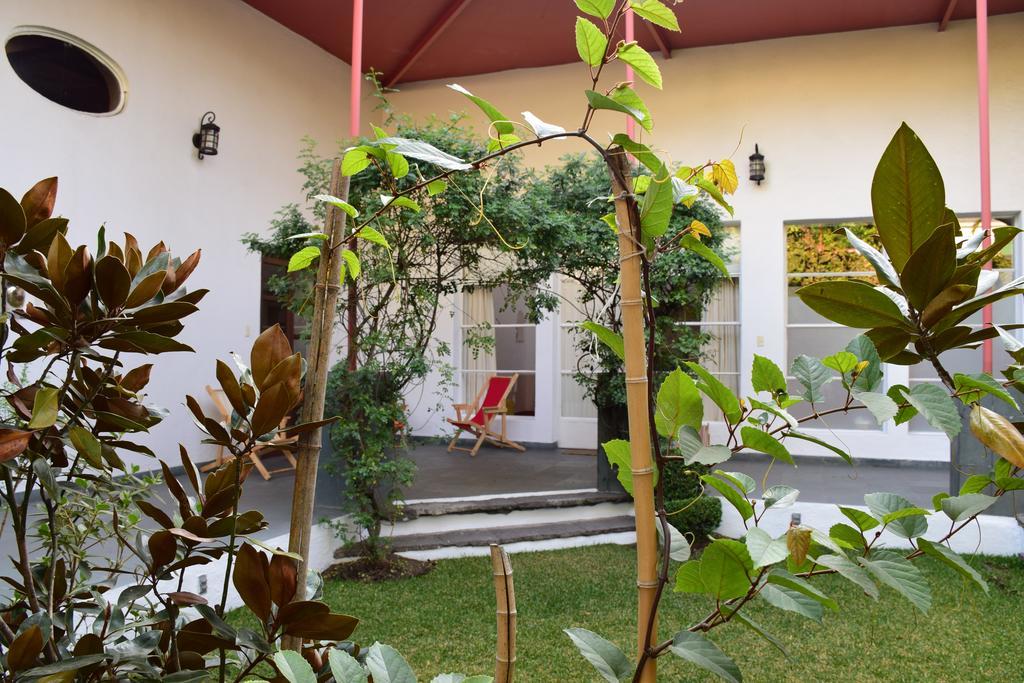 La Casa De Las Magnolias Hotell Coyoacan Eksteriør bilde