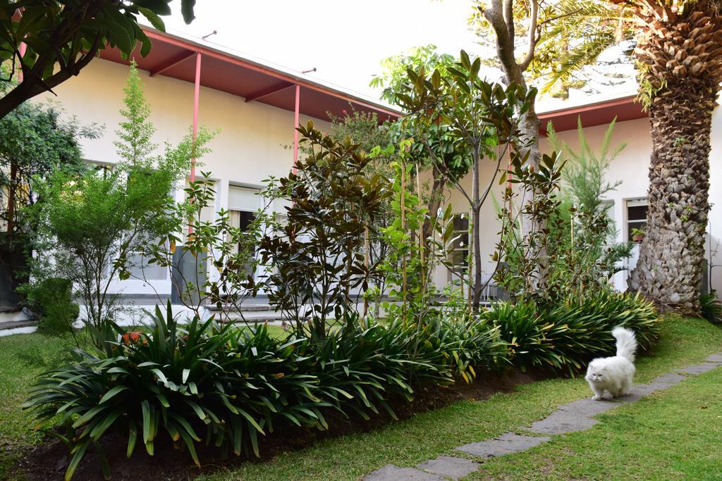 La Casa De Las Magnolias Hotell Coyoacan Eksteriør bilde