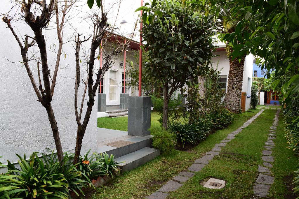 La Casa De Las Magnolias Hotell Coyoacan Eksteriør bilde