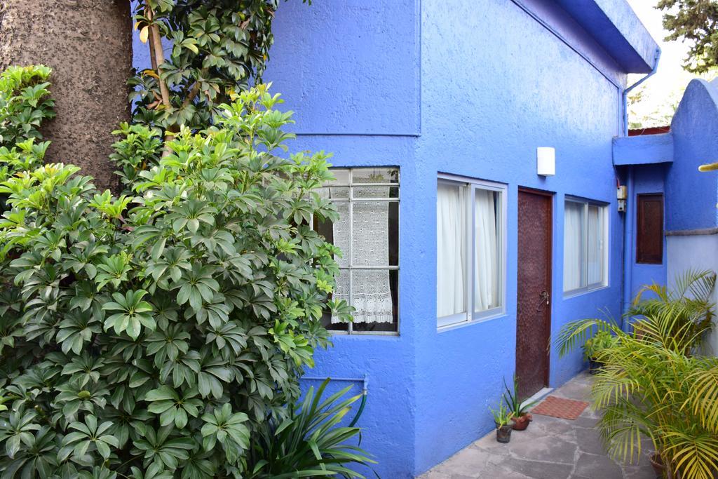 La Casa De Las Magnolias Hotell Coyoacan Eksteriør bilde